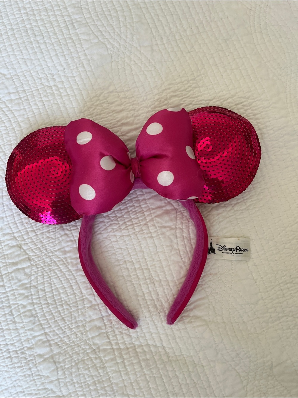 Minnie Ears